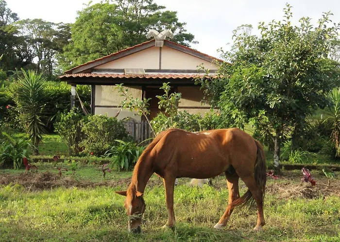 Finca Lindos Ojos