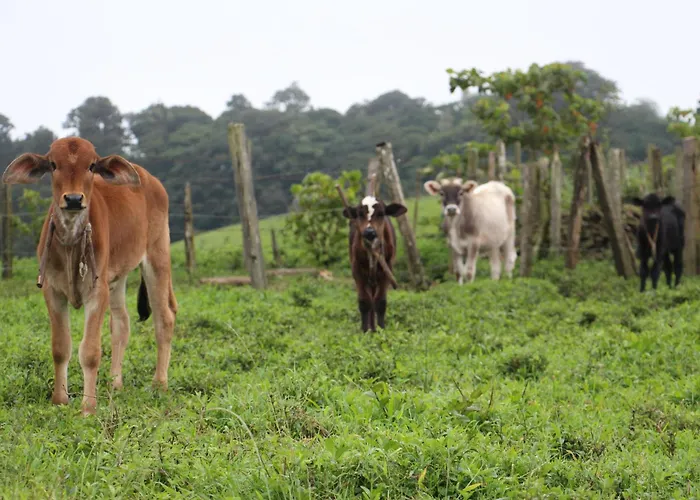 Finca Lindos Ojos